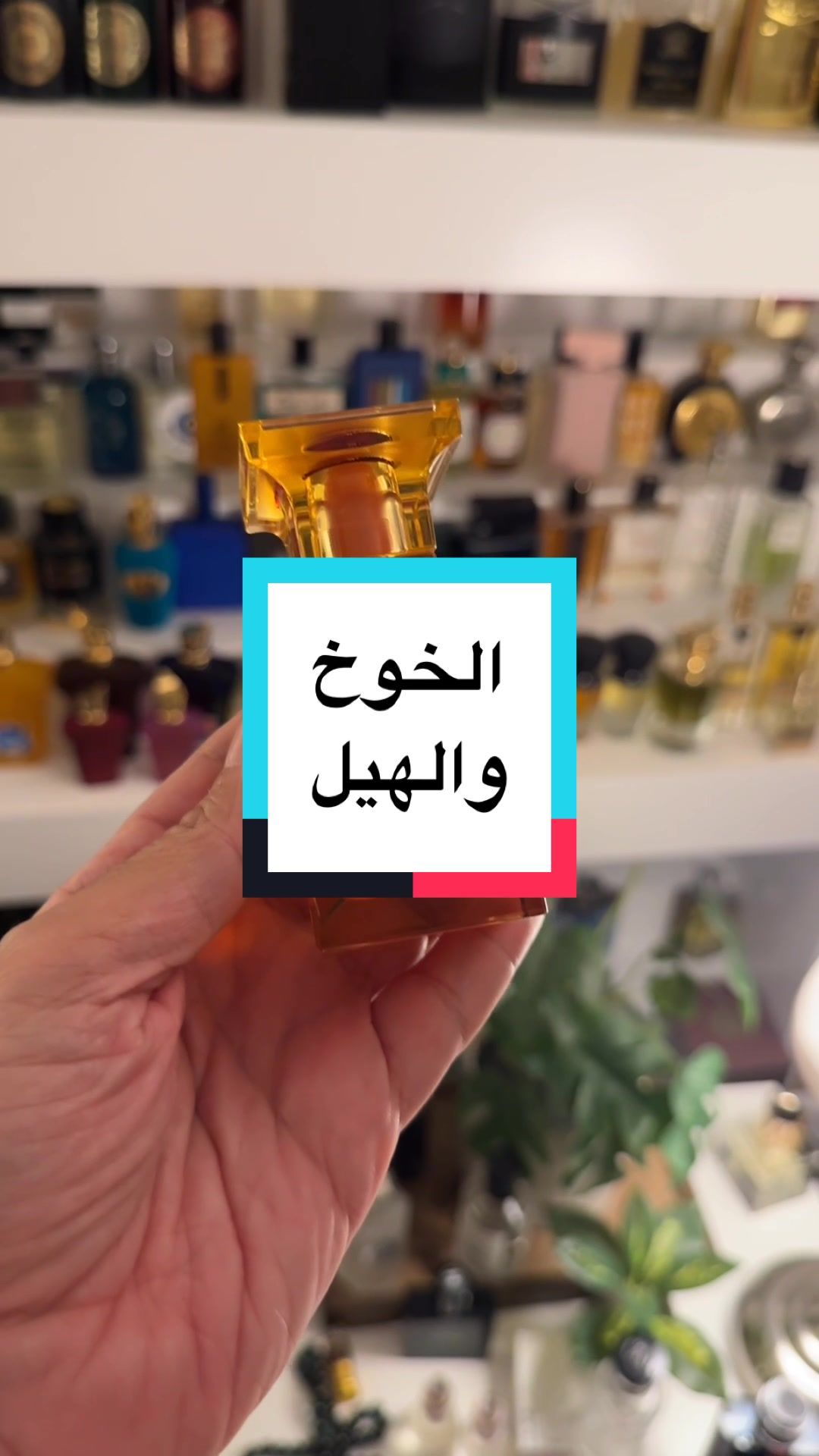 بيتر بيتش من توم فورد  #عطر #عطور #اكسبلورexplore #عطورات_فاخرة #عطورات #fyp #عطر_ثابت_فواح #عطور_صيفية_فواحة #عطور_صيفية 