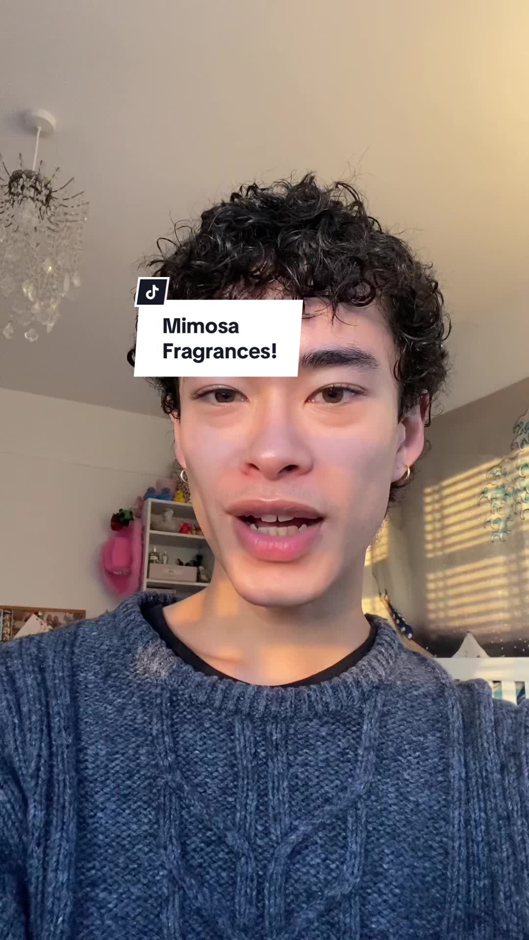 Been really enjoying mimosa as a note recently in perfume!💛 - Perfumes mentioned: - Rendez-Vous @Teo Cabanel parfums  - Mimosa Supercritique @Les Eaux Primordiales  - #mimosa #mimosaperfume #perfume #fragrance #nichefragrance #nicheperfume #sotd #scentoftheday #perfumes #fragrances #floral #perfumecollection #fragrancecollection #fyp #perfumetiktok #fragrancetiktok #flowers #designerperfume #rendezvous #mimosasupercritique #lattemimosa #herbamimosa 