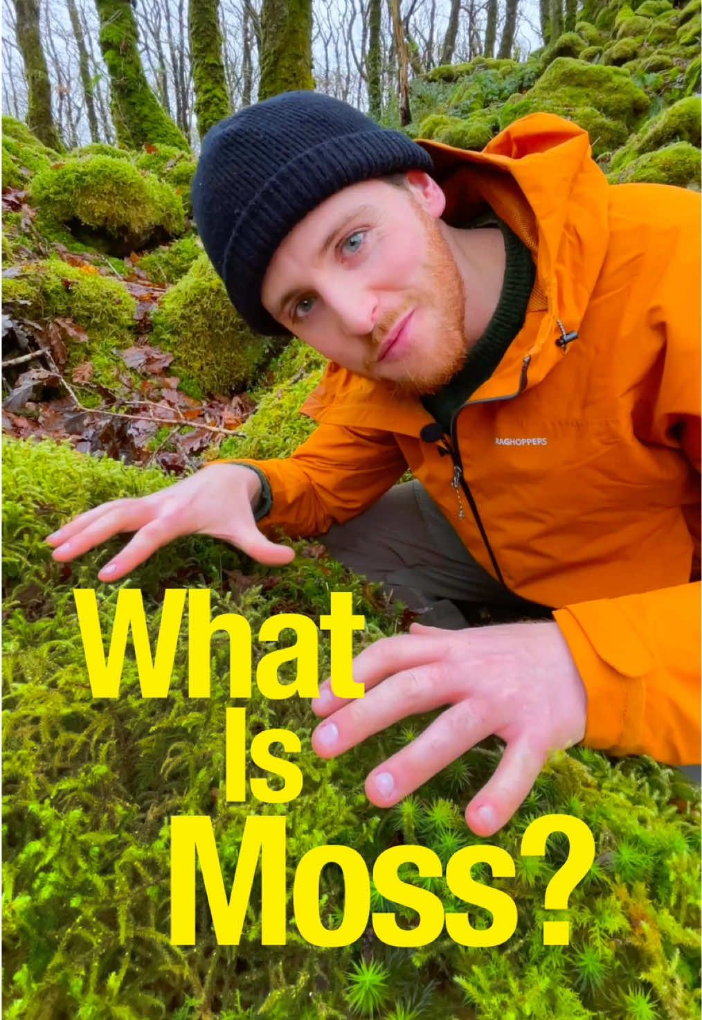 What is moss? 🌱 #moss #forestfloor #forestmagic #biodiversity #naturalist #naturelovers #environmentalscience #environment #naturenerd #nature #environmentaleducation #getoutside #fantasticearth #forestwalk #naturelearning #getoutside #woodland #wales #pembrokeshire #presenter #fyp #explore #discover #flora #plants #plantsoftiktok 