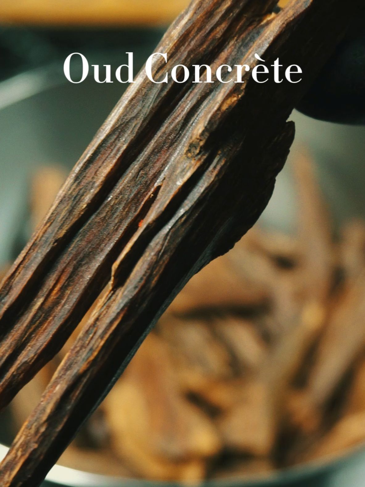 Oud Concrète There is other ways to extract the oils from Oud. Ramadan Mubarak to everyone! #oud #CreatingPerfume #fragrancetiktok #perfumetiktok #essentialoils #parfumviral 