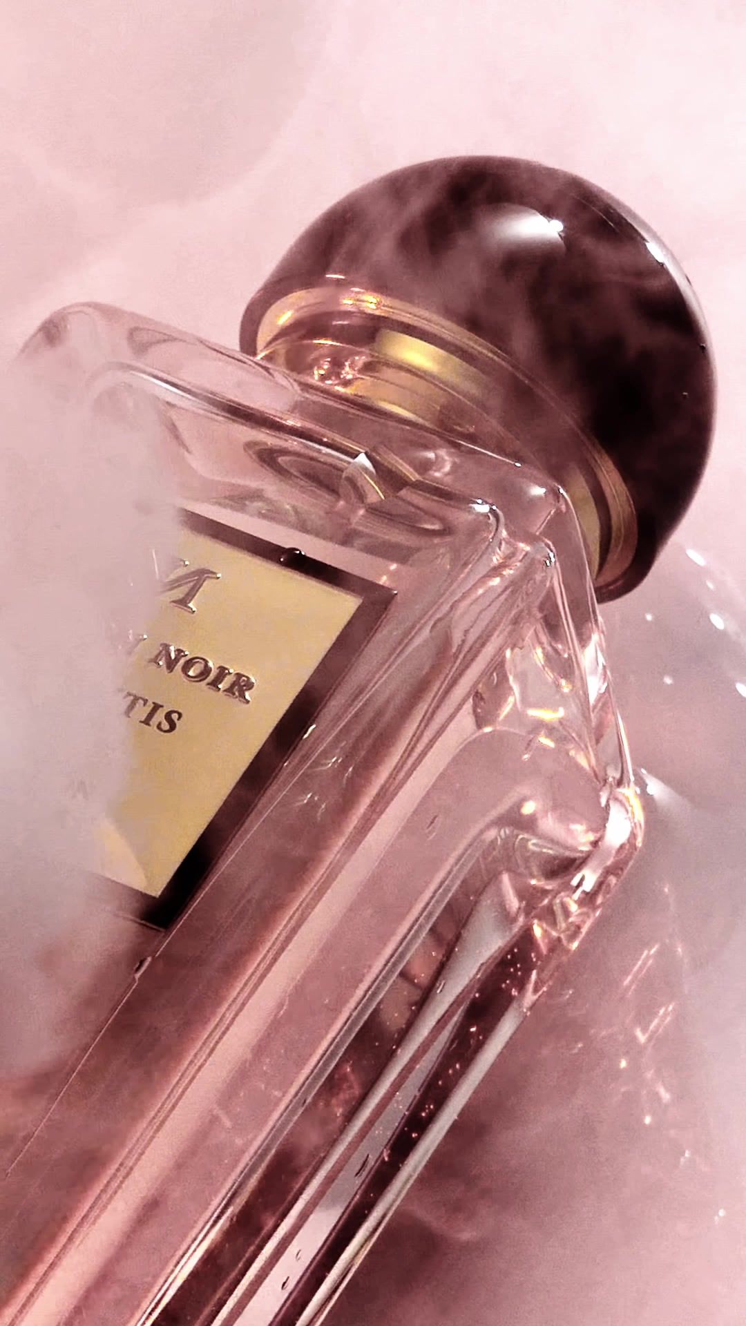 Volantis 685 will guide you through the dawn of the day. #MaisonNoir #LuxuryFragrance