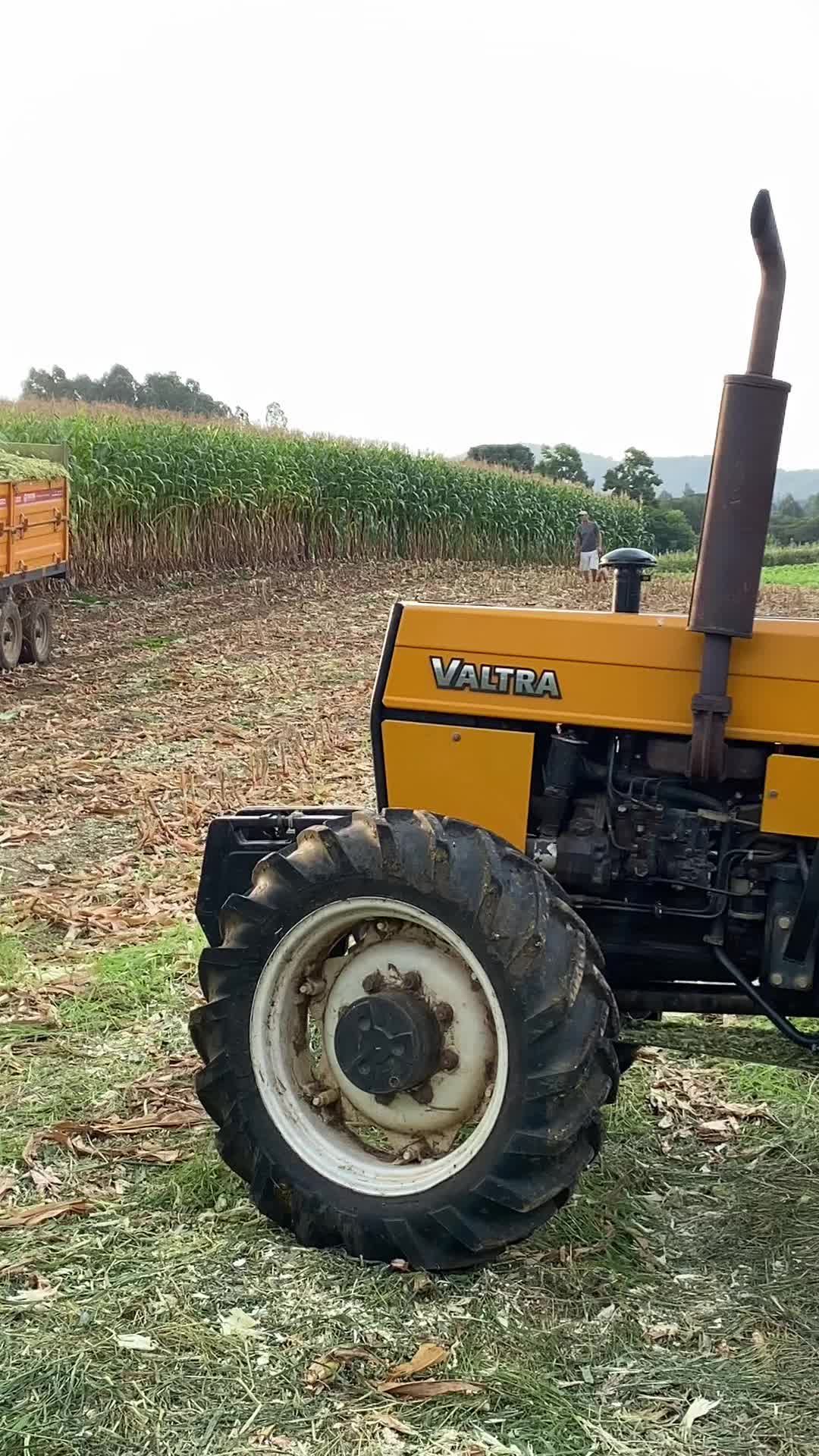 #valtra #685 #silagem #pordosol 