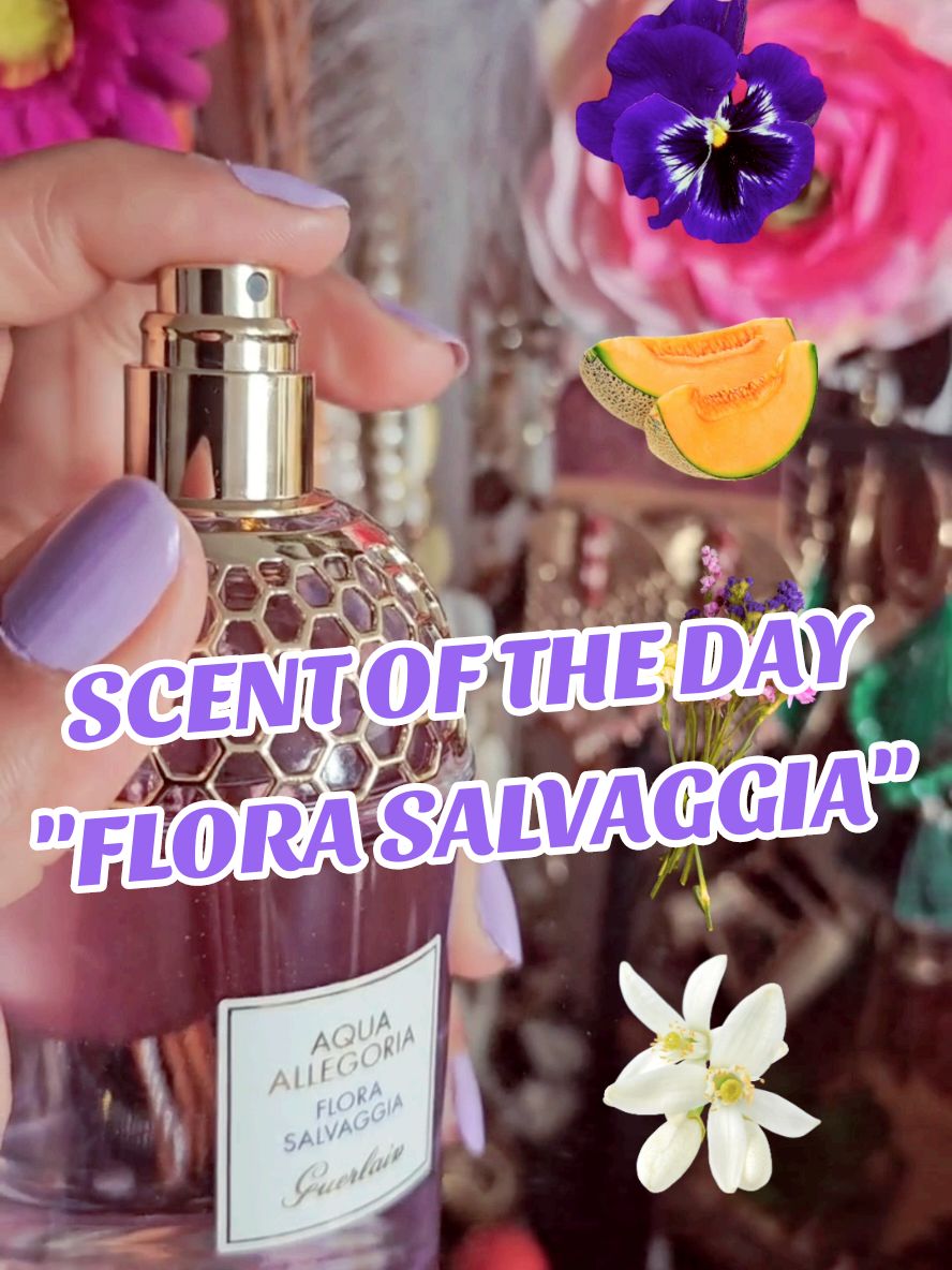SCENT OF THE DAY "Flora Salvaggia" by @Guerlain 💜 #sotd  💜💜💜 #scentoftheday #florasalvaggia #guerlain #aquaallegoria #lightperfume  #perfumetok #perfumetiktok #floral #summerready #fyp #pourtoii #parfumtiktok 