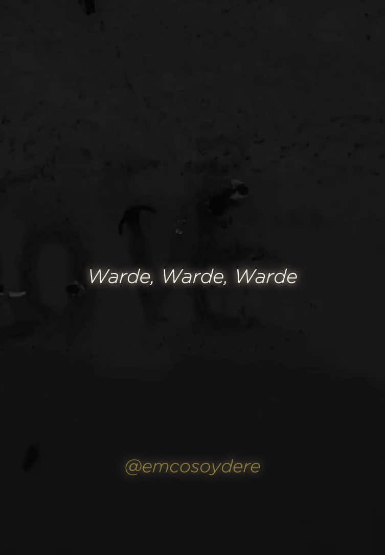 Mudi- Warde ❤️ #goviral #fyp #tiktokdeutschland #deutchmusik #furdish #mudi #warde 