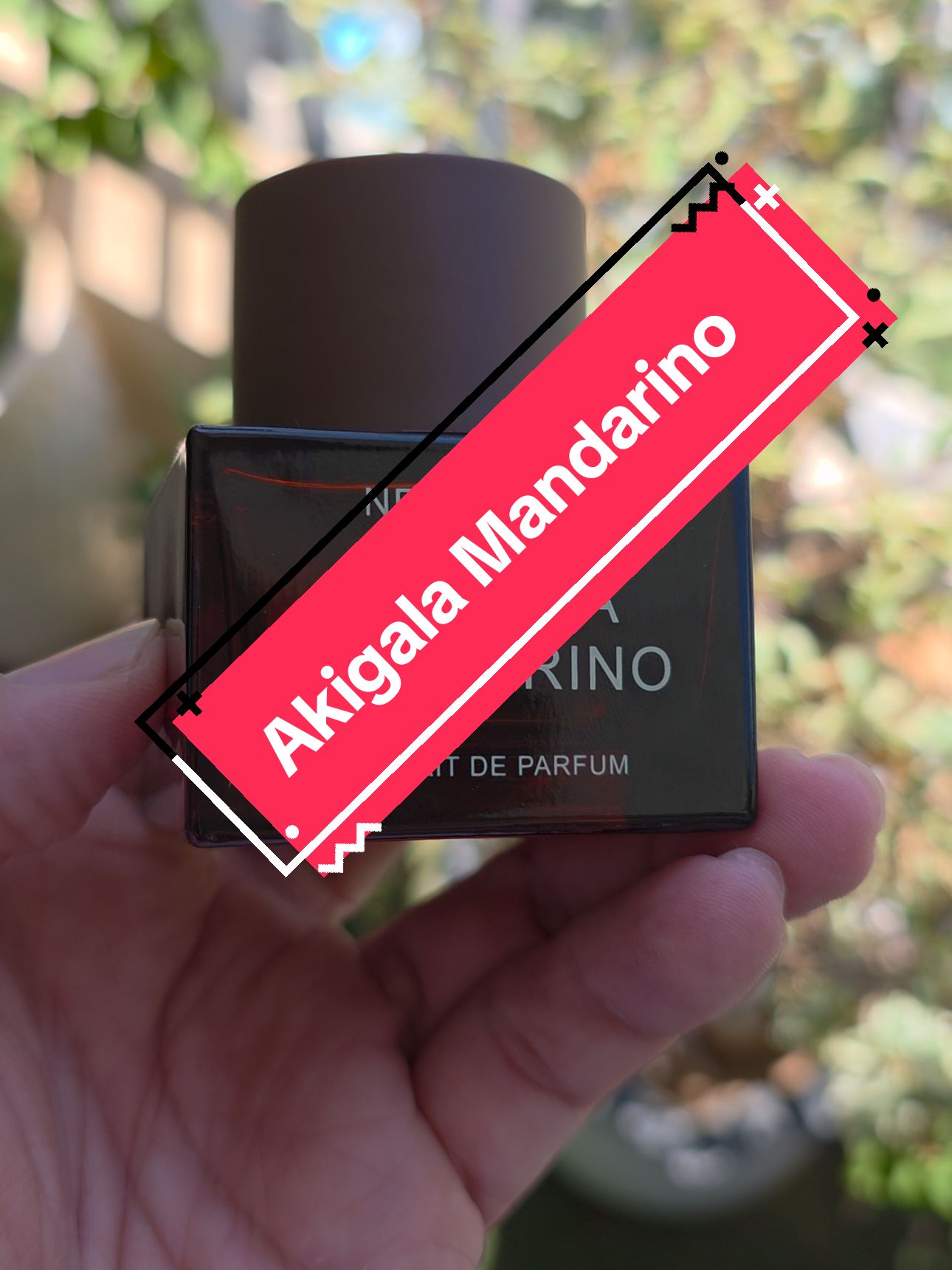 This Ganymede variation Akigala Mandarino, is easily one of the best on the market! 🤩 The fruity opening is perfect for hot weather, with amazing performance and it's great for everyday use. 💯 #Perfume #akigalamandarino  #Fragrance #Summer #Weather #Performance #DailyDriver