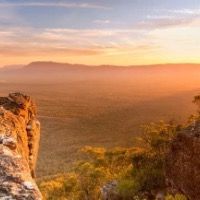 Cecília profile picture