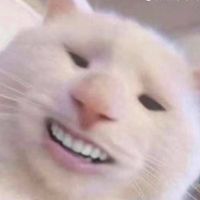 markokasper96 profile picture