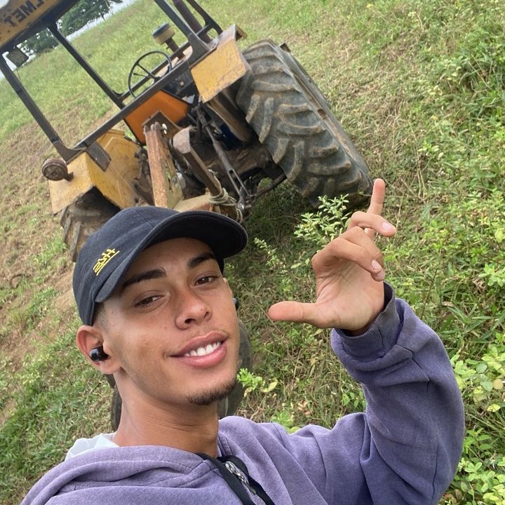 pedrinhodotrator_ profile picture