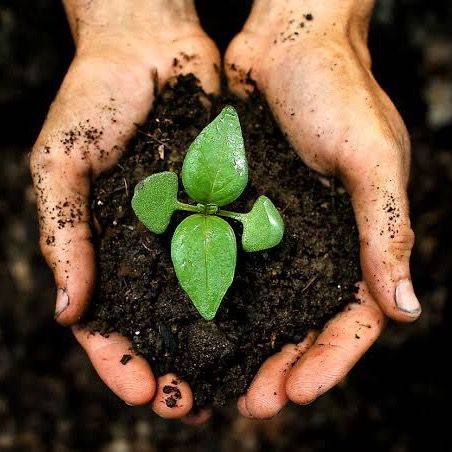 PlantsLife profile picture