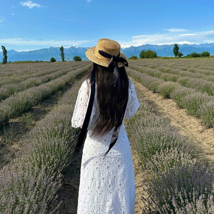 ShoppingDelisi🛍💸 profile picture