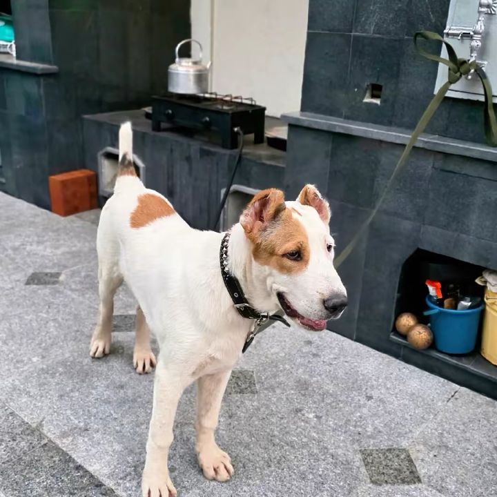 Almaz_83 profile picture