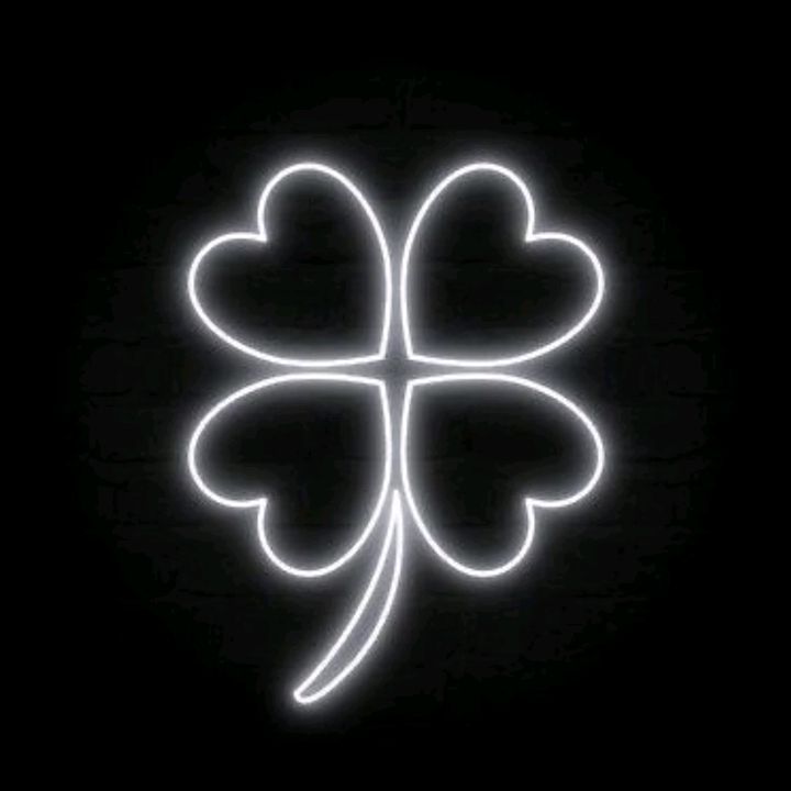 clovmsc profile picture