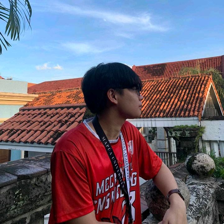 Icarus profile picture