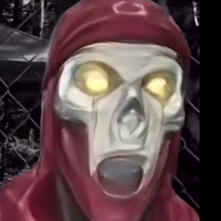 puchi profile picture