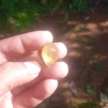 Sri Lankan Rockhound 🇱🇰 profile picture