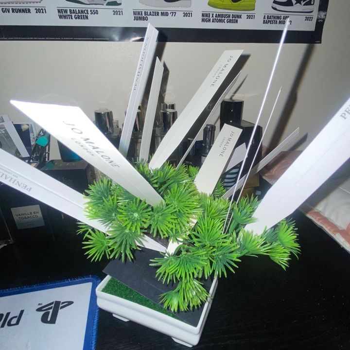 That1cologneteen profile picture