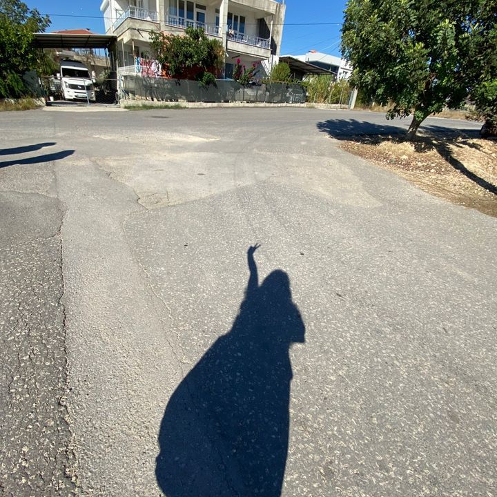 Kumraalbombaa🤍 profile picture