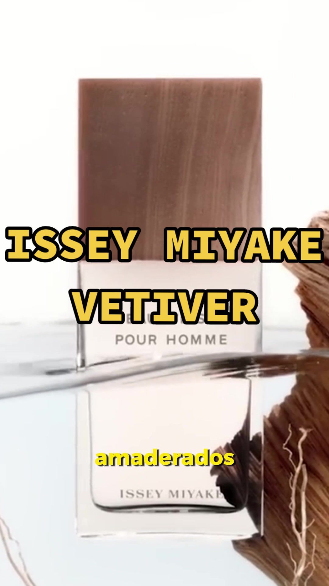 L’Eau d’Issey pour Homme Vetiver Issey Miyake #perfumestiktok #fragancias #perfumetok #perfumetiktok #sotd #isseymiyake #isseymiyakevetiver  #perfume #perfumeschile #perfumereview #chile