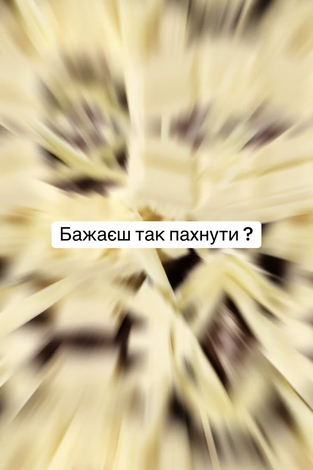 Дуже красивий та насичений аромат 🔥 Він стане вашим фаворитом у ці зимові дні. Для замовлення пишіть в особисті повідомлення 💌 #парфумиукраїна🇺🇦 #perfumetiktok #духи #tizianaterenzi #velorum 
