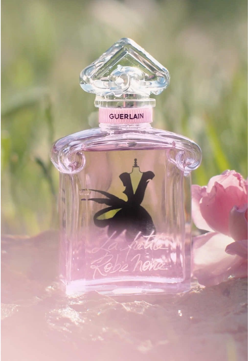 A peek behind the pink. Join Guerlain Perfume Creation Director & Perfumer Delphine Jelk at Le Mas des Sources, Guerlain’s exclusive partner and sustainable supplier of the unique Centifolia Rose from Grasse: the heart of new La Petite Robe Noire Eau de Toilette. — #GuerlainFragrance #LaPetiteRobeNoire #Rose