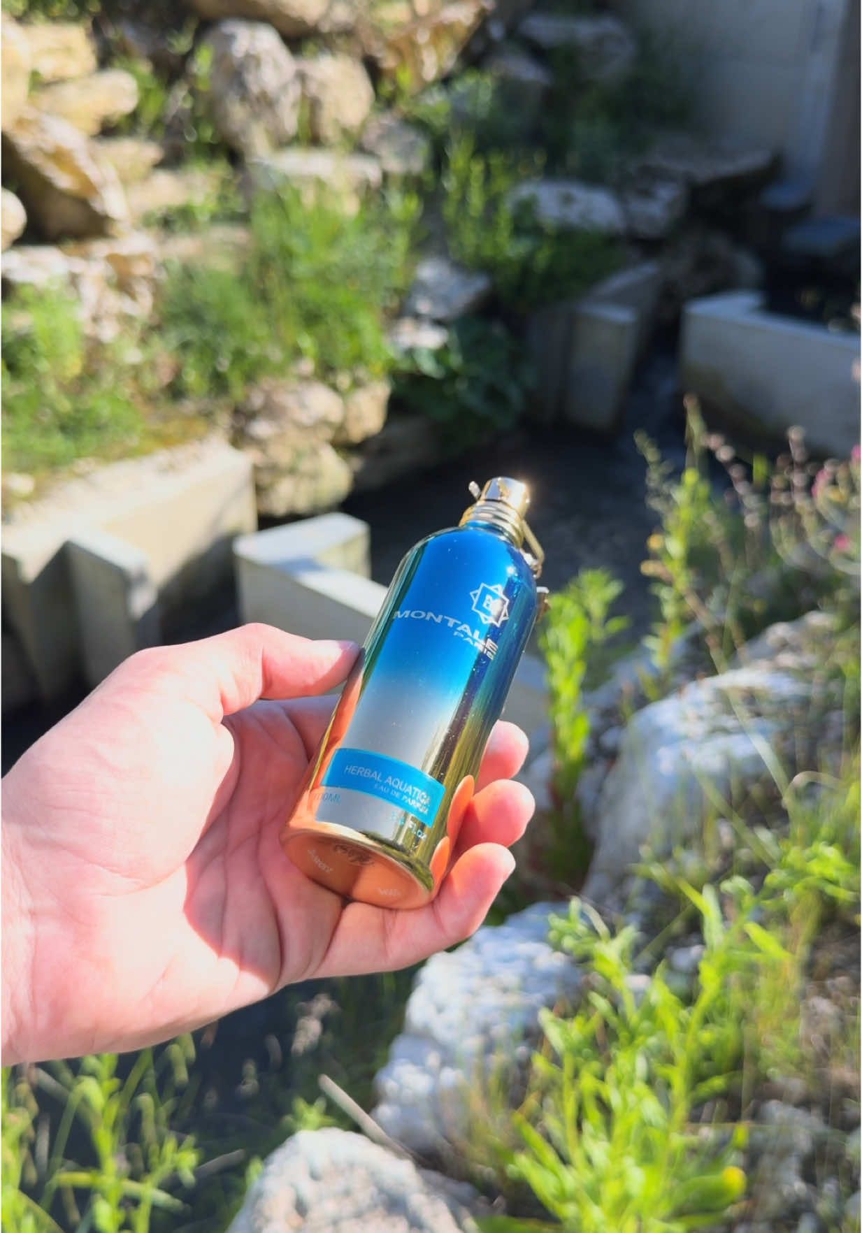 Aquatic Vibes by the River 🌊 #theblackknight #herbalaquatica #herbalaquaticamontale #montaleparfums #montale #fyp @Montale @Montale Paris US