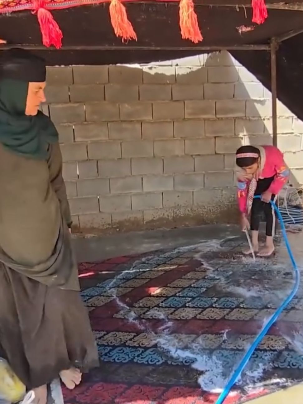 part6#nomade #videos #nomadedigital #tranding #videoviral 